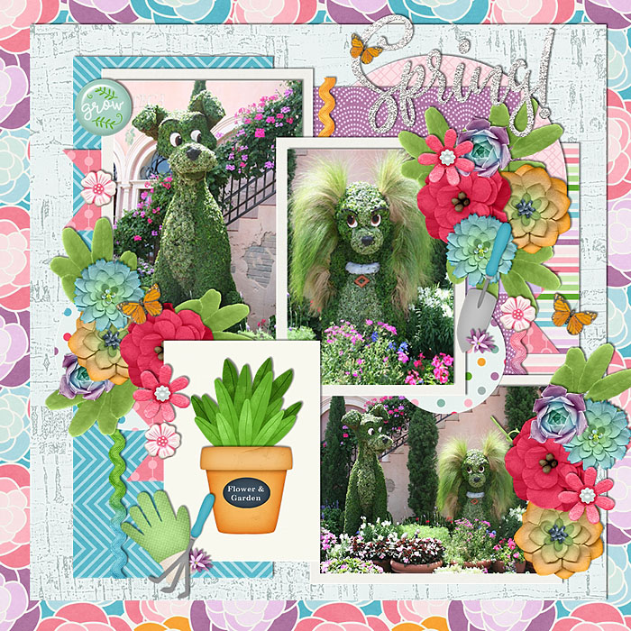 A_Succulent_Spring-83c1ae3b44.jpg