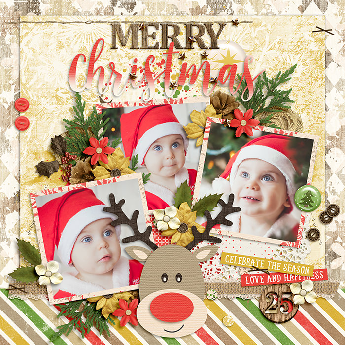 DSI_Miscellaneous10_layout-MotherBear-e1095d6372.jpg