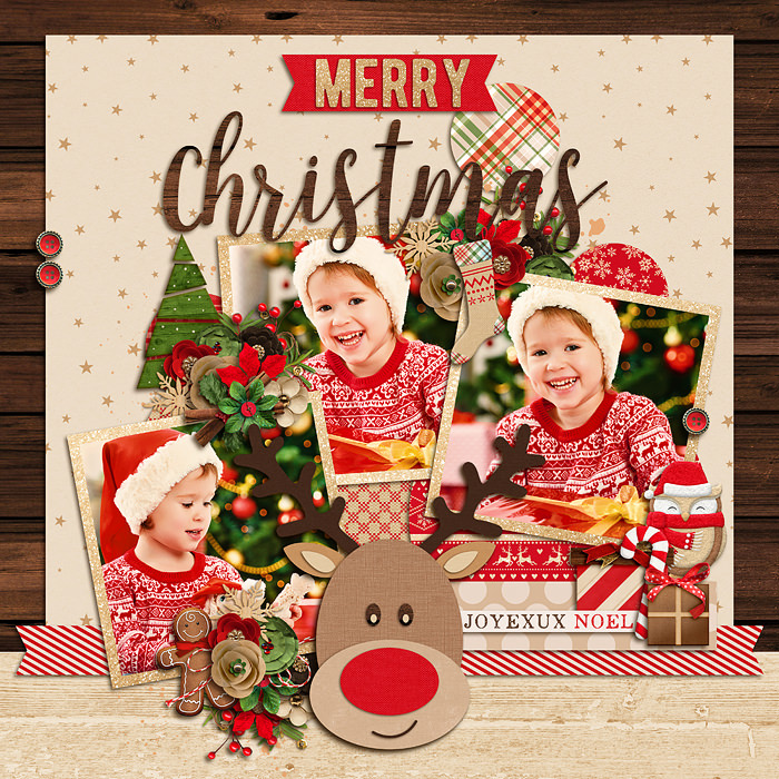 DSI_Miscellaneous10_layout-biancka-4d11a5592a.jpg