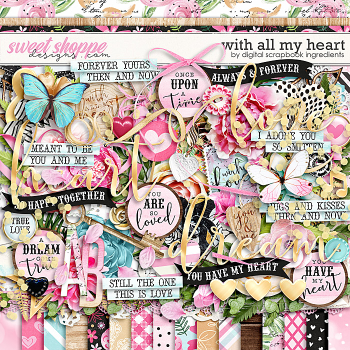 DSI_withallmyheart-308e24f2c8.jpg