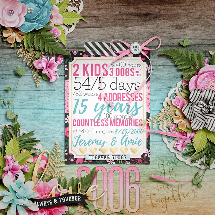DSI_withallmyheart_layout-amie-a2a846dc6f.jpg