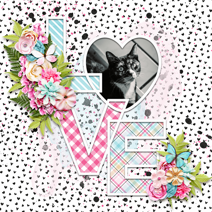 DSI_withallmyheart_layout-holly-1c76db306b.jpg