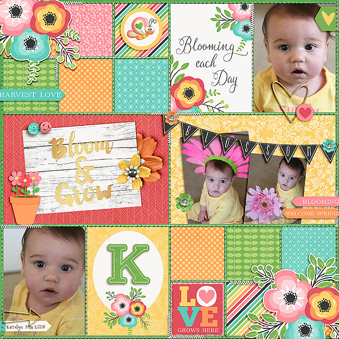 KRISTA%20beautification-c427dbe22d.jpg