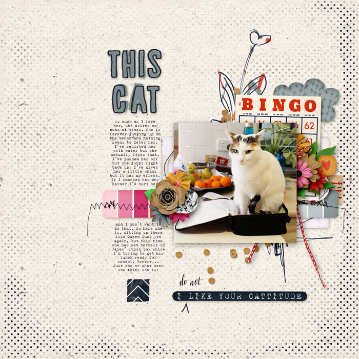 This-cat-c67592b1ce.jpg