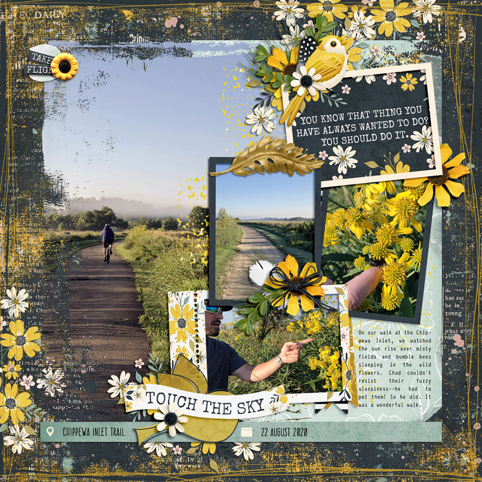allyanne_Blended6Pak8_01_TakeFlight_01-700-412905fc7d.jpg