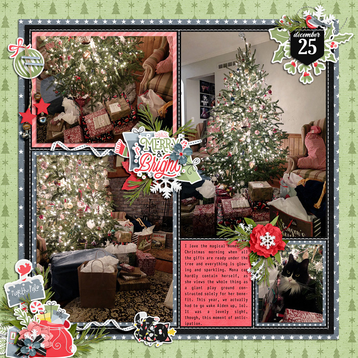 allyanne_CountdowntoChristmas_01-700-091b7275cf.jpg