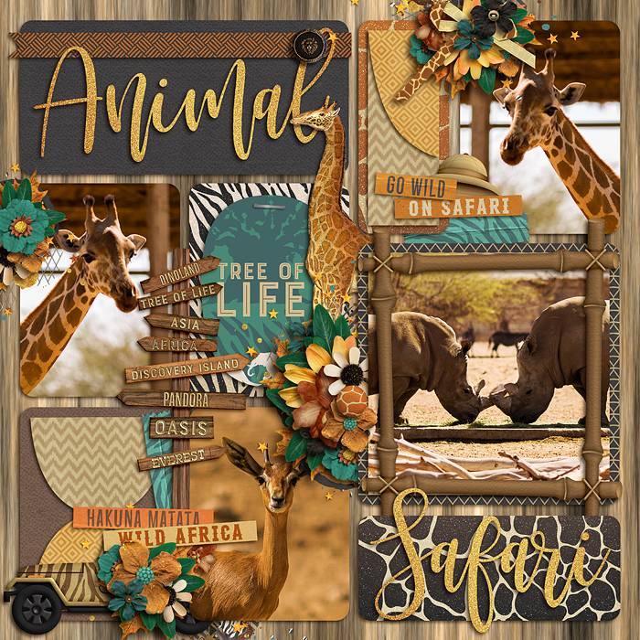 100 Animal Kingdom - Disney ideas  animal kingdom disney, disney  scrapbooking layouts, disney scrapbook