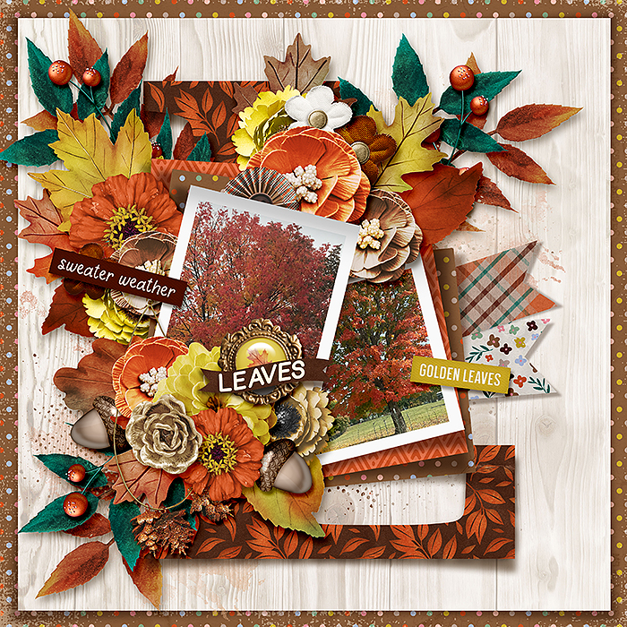 Bold November by Connection Keeping layout EvelynD2 Bold November by Connection Keeping layout EvelynD2