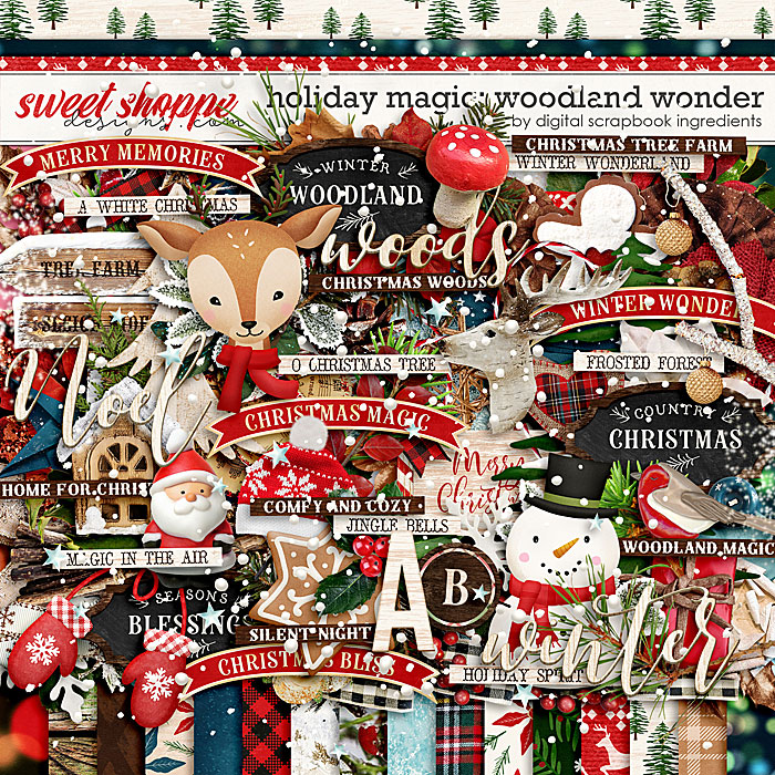 dsi_holidaymagic-woodlandwonder-65d911f6c3.jpg