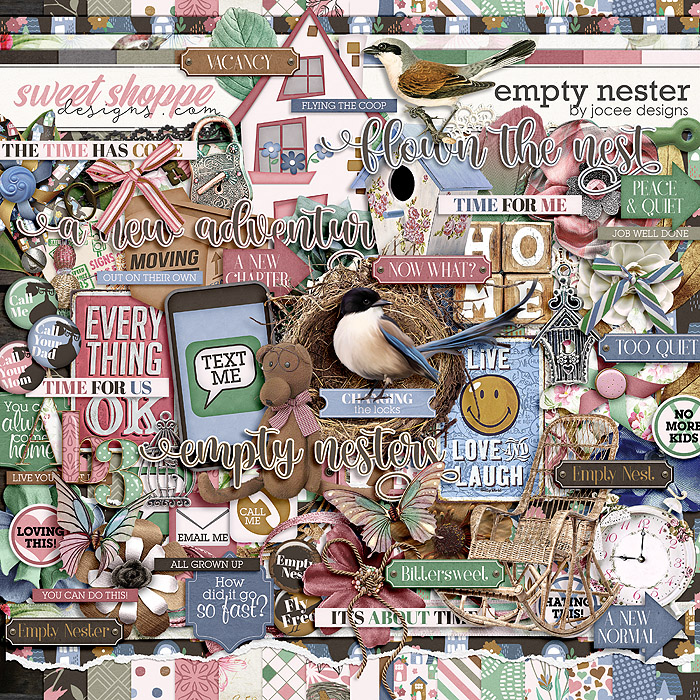 joceedesigns-emptynester-kit-711f8b452c.jpg