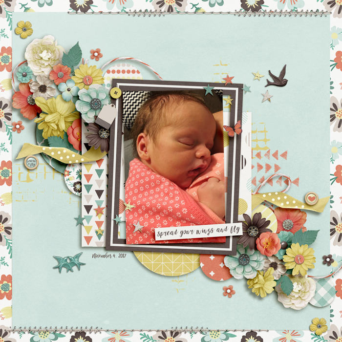 mbennett-learn2fly-preview2-d6eb23db8f.jpg