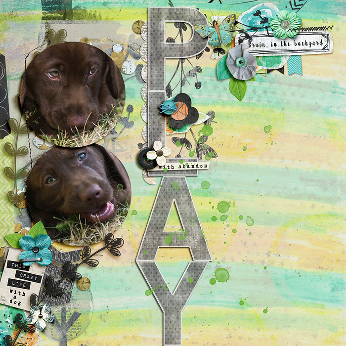playwithabandon-700x700-98cc39c0d0.jpg