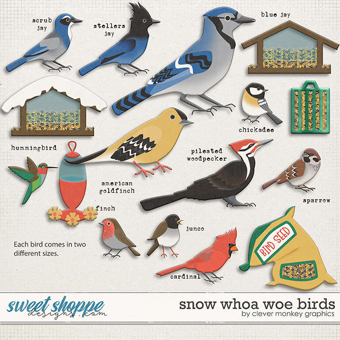 Snow Whoa Woe Birds by Clever Monkey Graphics 