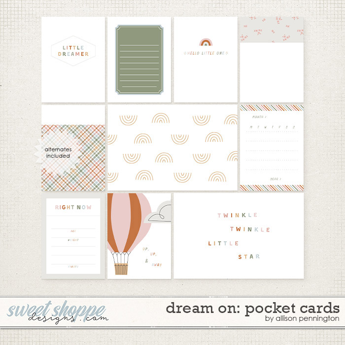 Dream On: Pocket Cards by Allison Pennington
