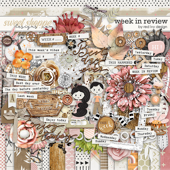 Week in Review by Red Ivy Design