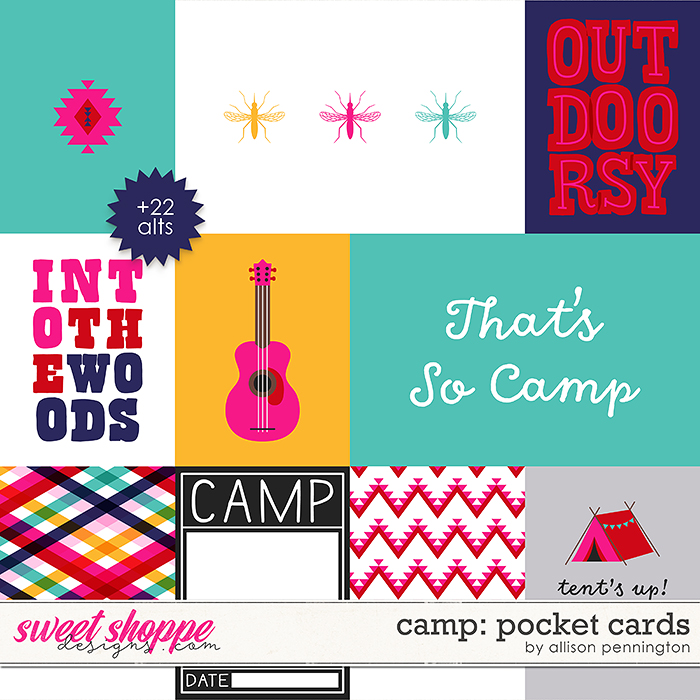 Camp: Pocket Cards by Allison Pennington