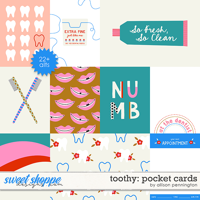 Toothy: Pocket Cards by Allison Pennington