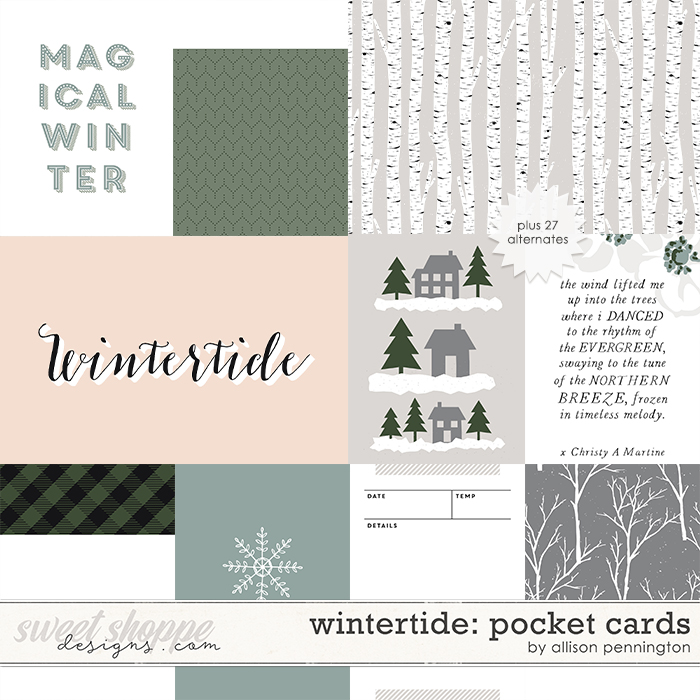Wintertide: Pocket Cards by Allison Pennington