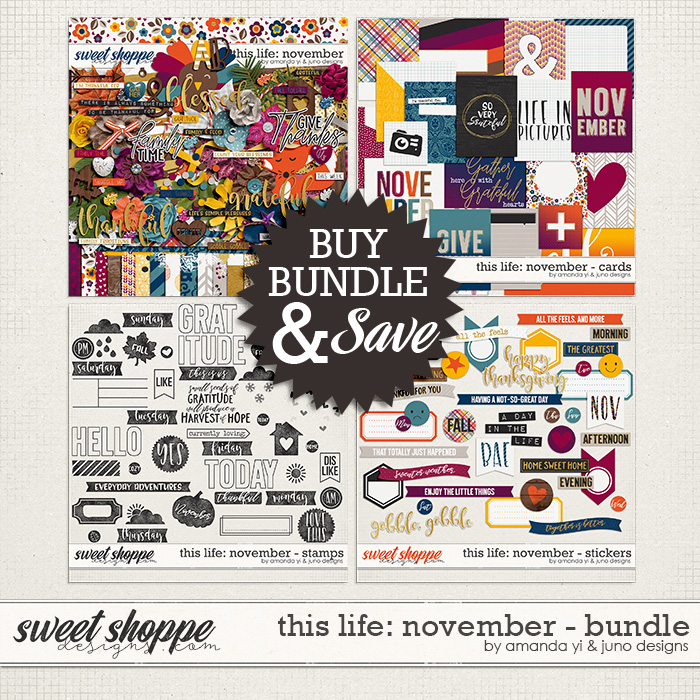 ayi-jd_thislife-november_bundle.jpg
