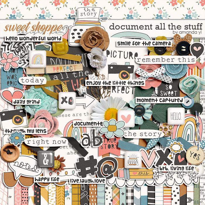 Document all the stuff by Amanda Yi