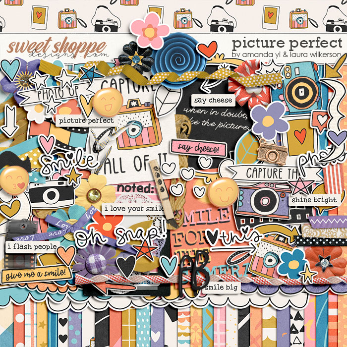 Picture Perfect by Amanda Yi and Laura Wilkerson