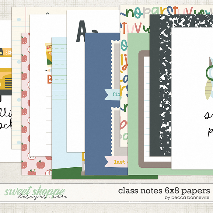 Class Notes 6x8 Papers by Becca Bonneville