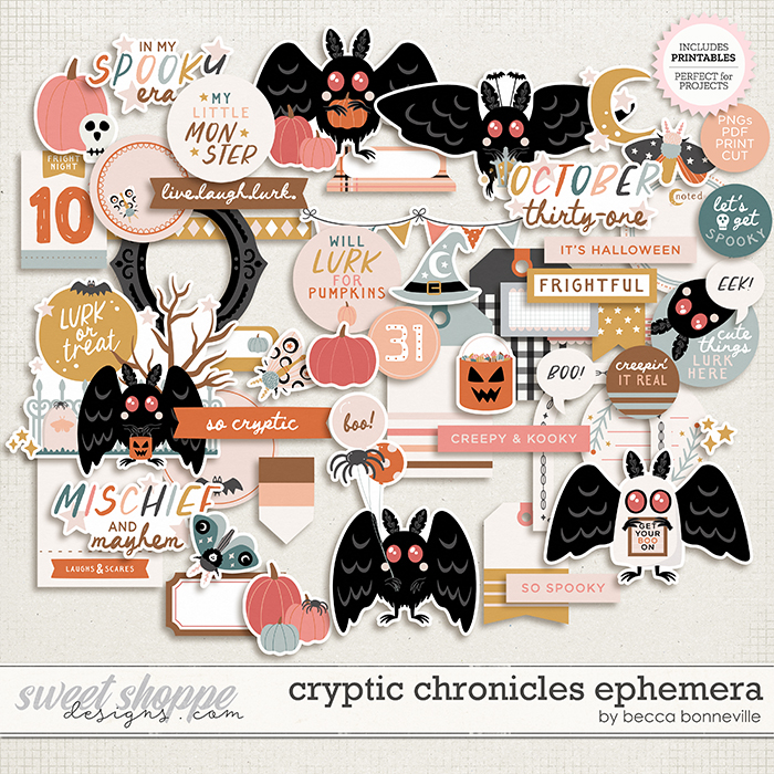 Cryptic Chronicles Ephemera by Becca Bonneville