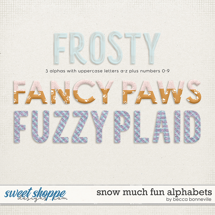 Snow Much Fun Alphabets by Becca Bonneville