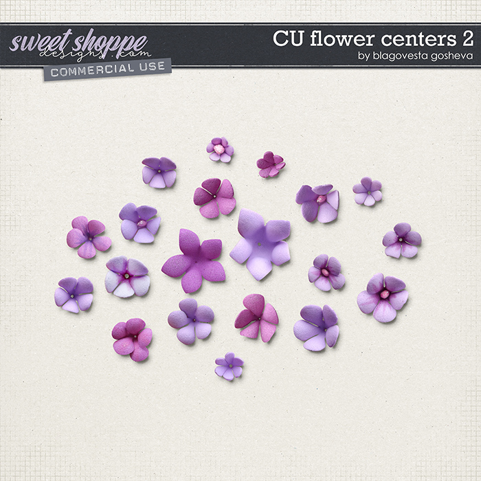 CU Flowers centers 2 by Blagovesta Gosheva