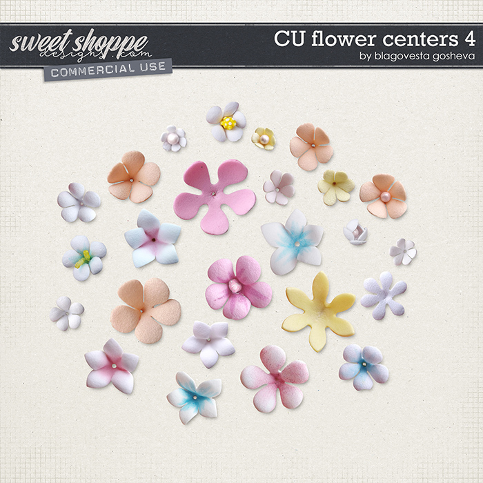 CU Flowers centers 4 by Blagovesta Gosheva