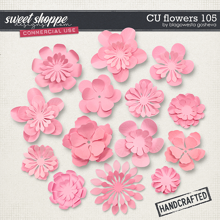 CU Flowers 105 by Blagovesta Gosheva