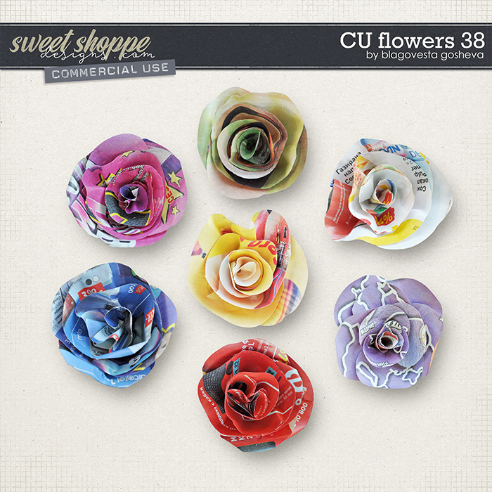 CU Flowers 38 by Blagovesta Gosheva