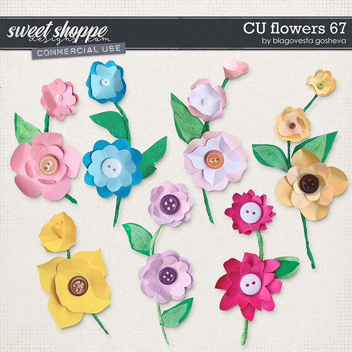CU Flowers 67 by Blagovesta Gosheva