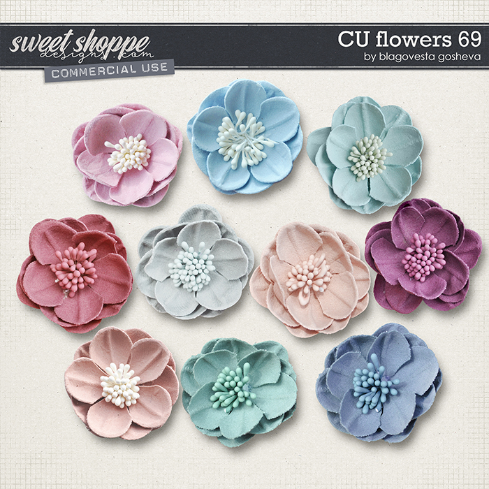 CU Flowers 69 by Blagovesta Gosheva CU Flowers 69 by Blagovesta Gosheva