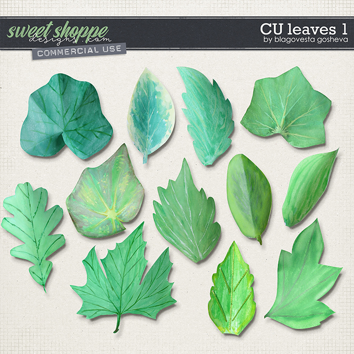CU Leaves 1 by Blagovesta Gosheva CU Leaves 1 by Blagovesta Gosheva
