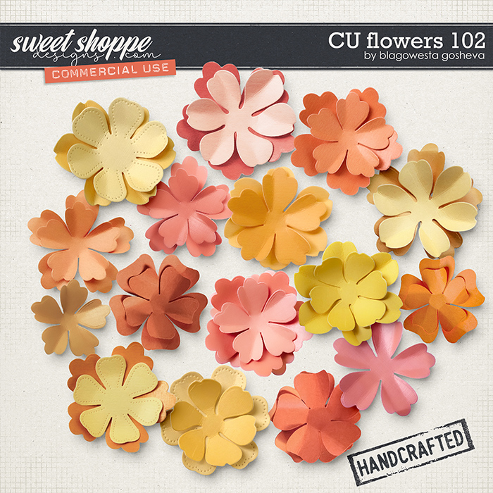 CU Flowers 102 by Blagovesta Gosheva