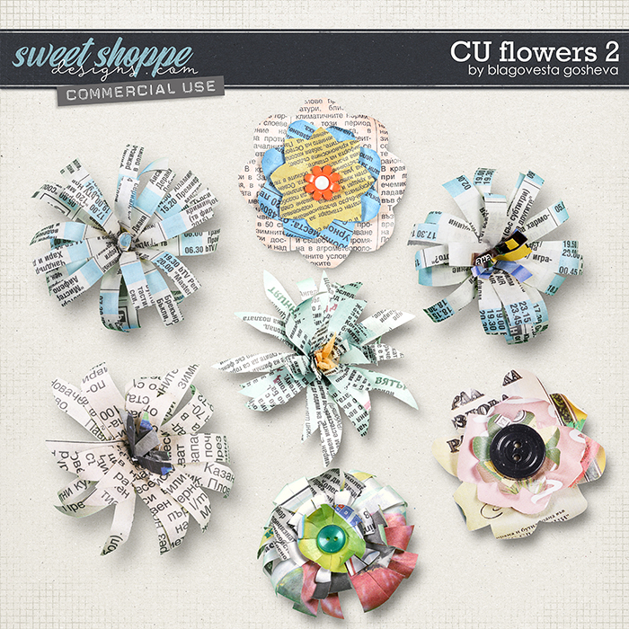 CU Flowers 2 by Blagovesta Gosheva CU Flowers 2 by Blagovesta Gosheva
