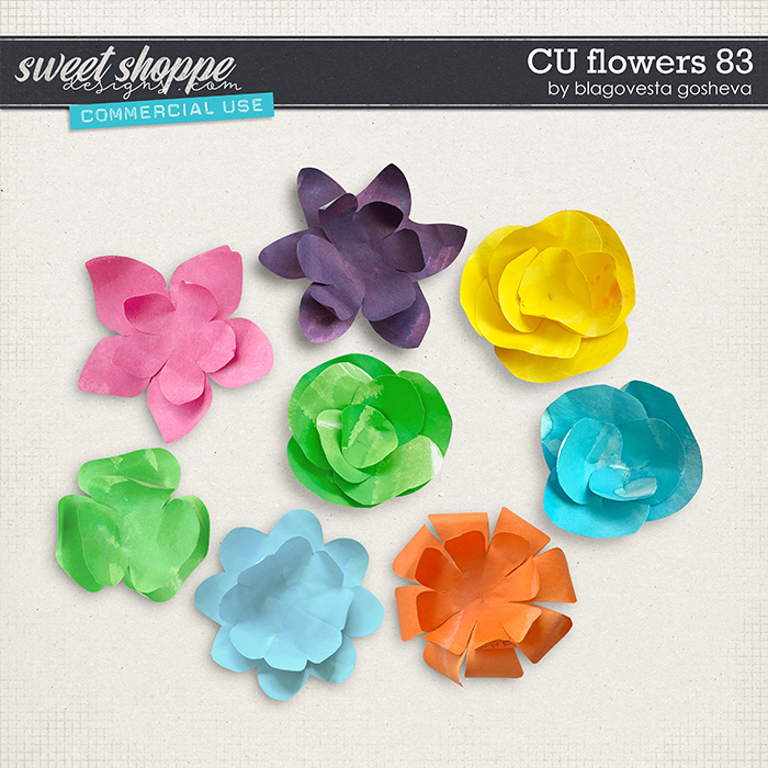 CU Flowers 83 by Blagovesta Gosheva