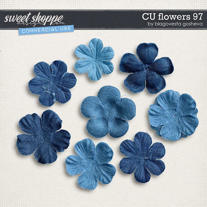 CU Flowers 97 by Blagovesta Gosheva