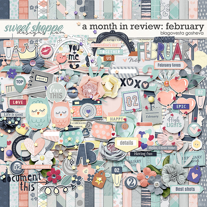 A Month in Review: February by Blagovesta Gosheva