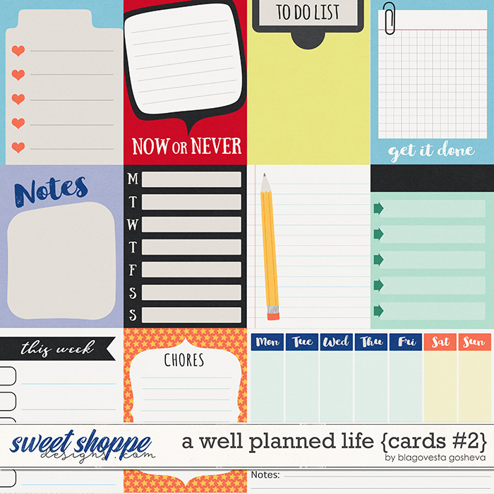 A Well Planned Life {cards #2} by Blagovesta Gosheva