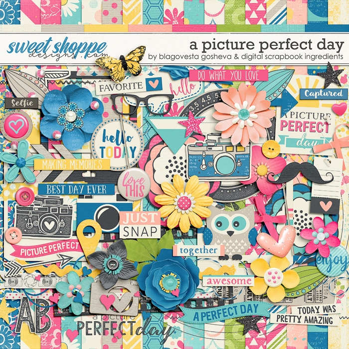 bg_dsi_apictureperfectday_700.jpg