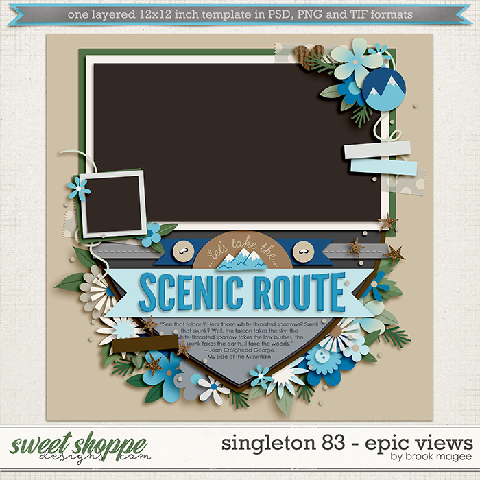 Brook's Templates - Singleton 83 - Epic Views by Brook Magee