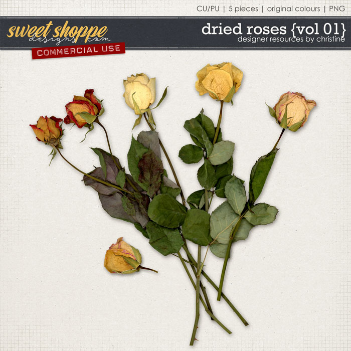 Dried Roses {Vol 01} by Christine Mortimer