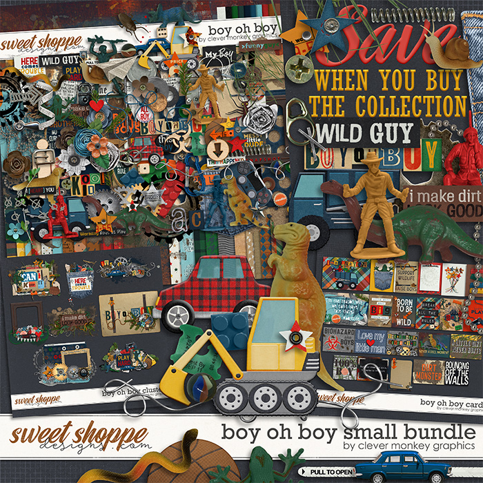 Boy oh Boy Small Bundle by Clever Monkey Graphics  