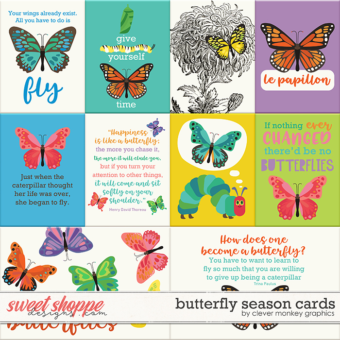 Butterfly Season Cards by Clever Monkey Graphics  