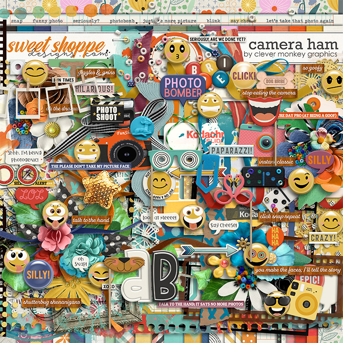 Camera Ham by Clever Monkey Graphics