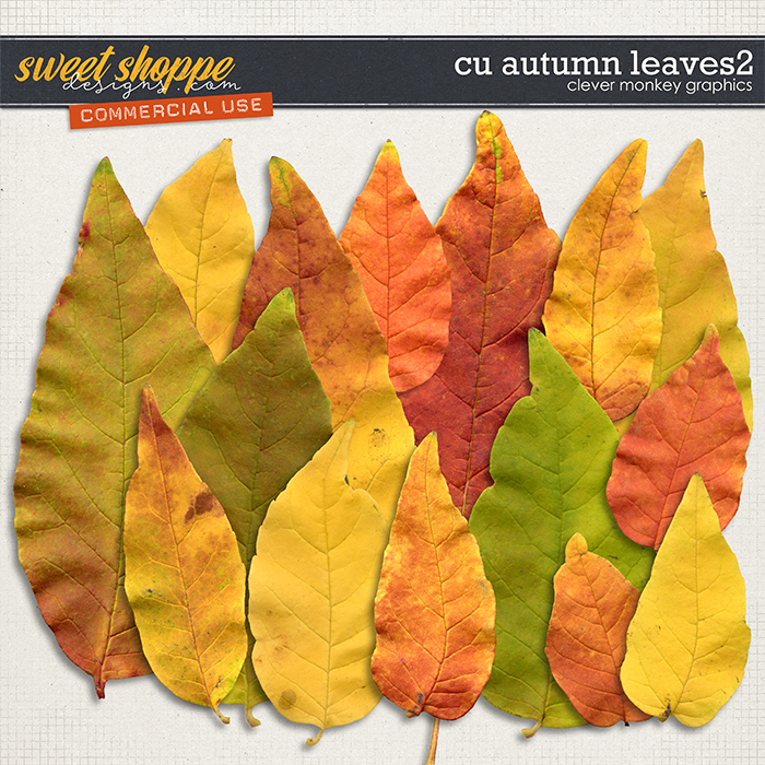 CU Autumn Leaves 2 by Clever Monkey Graphics