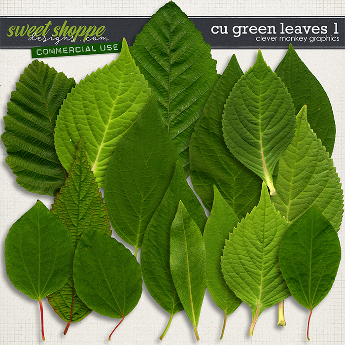 CU Green Leaves 1 by Clever Monkey Graphics CU Green Leaves 1 by Clever Monkey Graphics