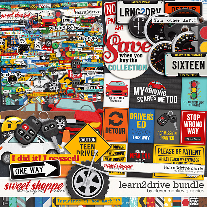 Learn2Drive Bundle by Clever Monkey Graphics
